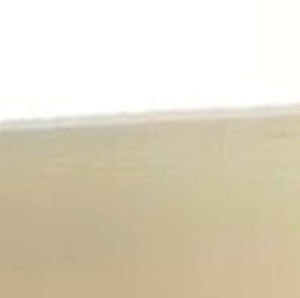 Meet your Posher, Carmen